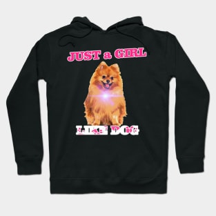 just a girl like dog doglover tshirt Hoodie